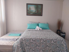 Emy Cozy Studio unit with street view balcony